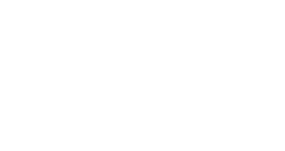 The MLZ Inspection Services logo